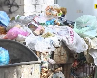 Крысы атакуют: киевские дворы увязли в мусоре 